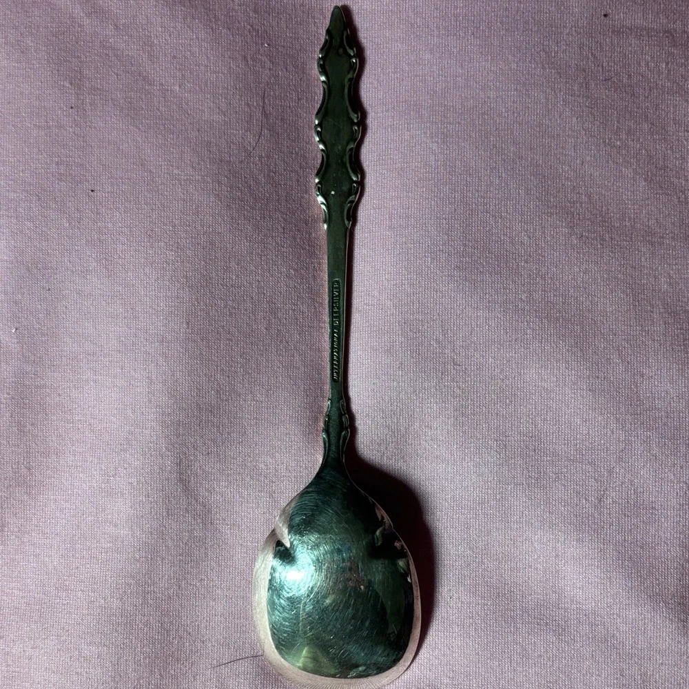 Elegant Silver Spoon
